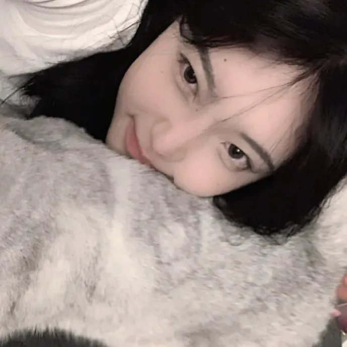 飞燕惊鸿